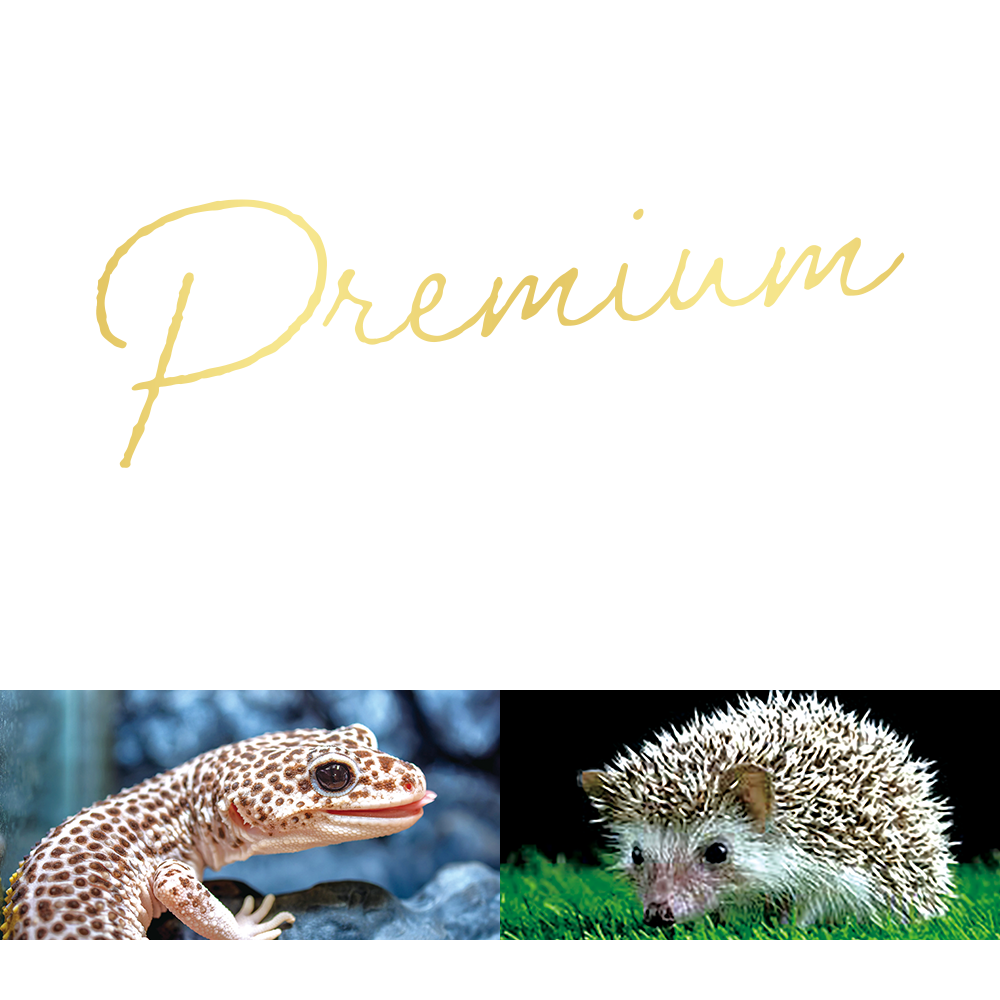 フリーズドライPREMIUM